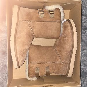Chestnut Buckle Uggs